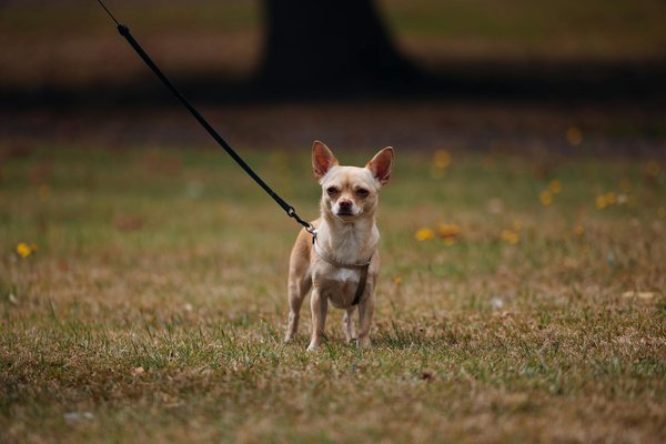 Welche Schuhe sind in dieser Saison besonders im Trend?